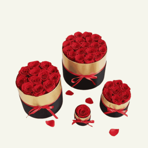 Caja Redonda “Eterna Passione” – Rosas Naturales Preservadas en Estuche Negro & Dorado